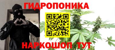 скорость Рязань